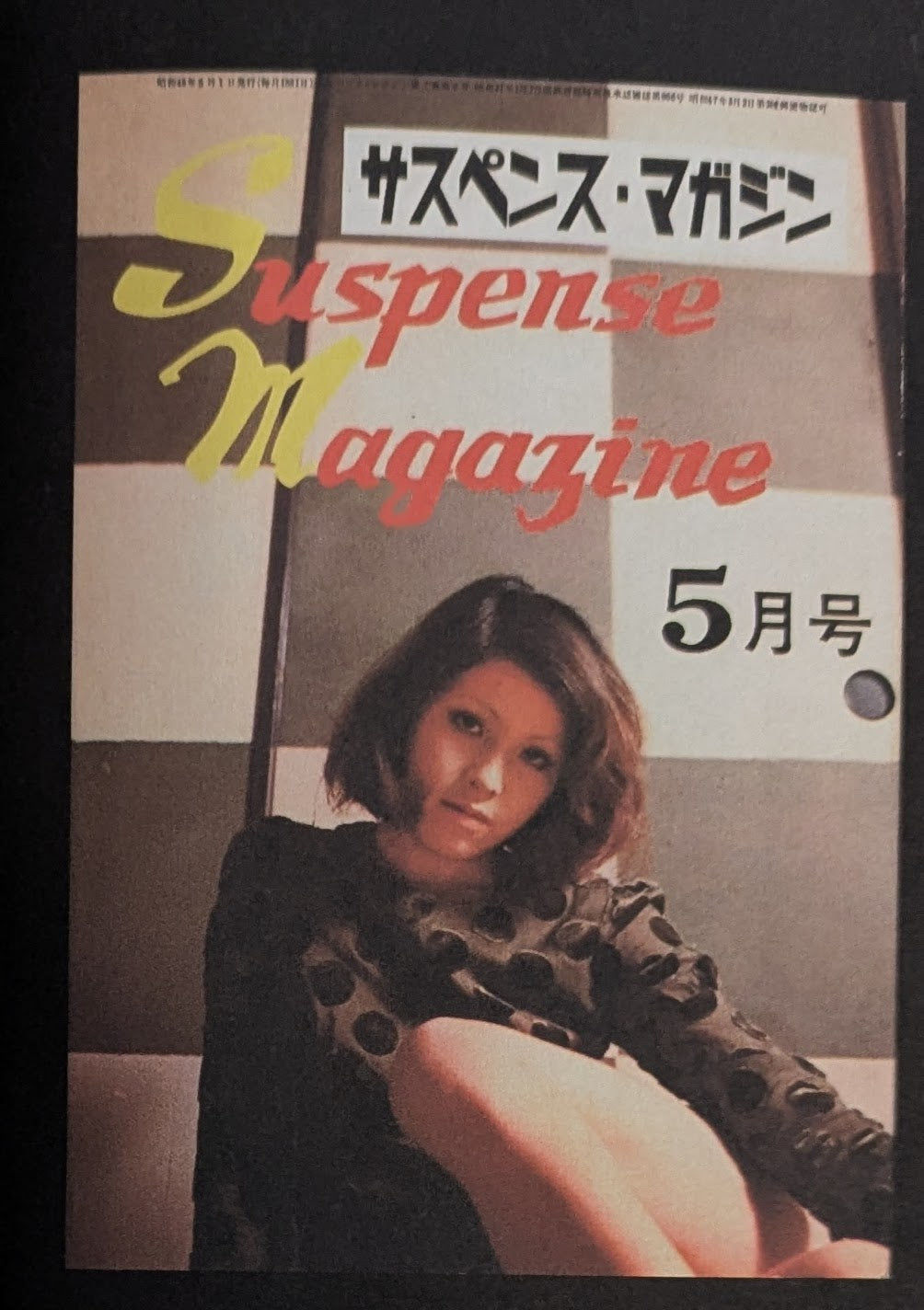 BDSM Magazines from Japan 1950-2010
