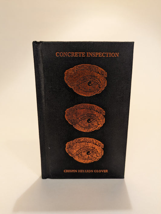 Concrete Inspection: A Family Story Where Mother is Looking for Something and Finds It [Crispin Hellion Glover]