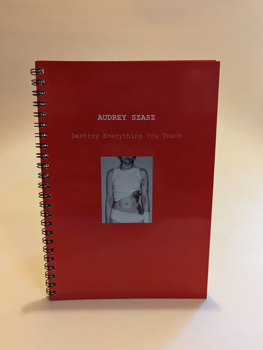 Destroy Everything You Touch [Audrey Szasz; Photography by Karolina Urbaniak]