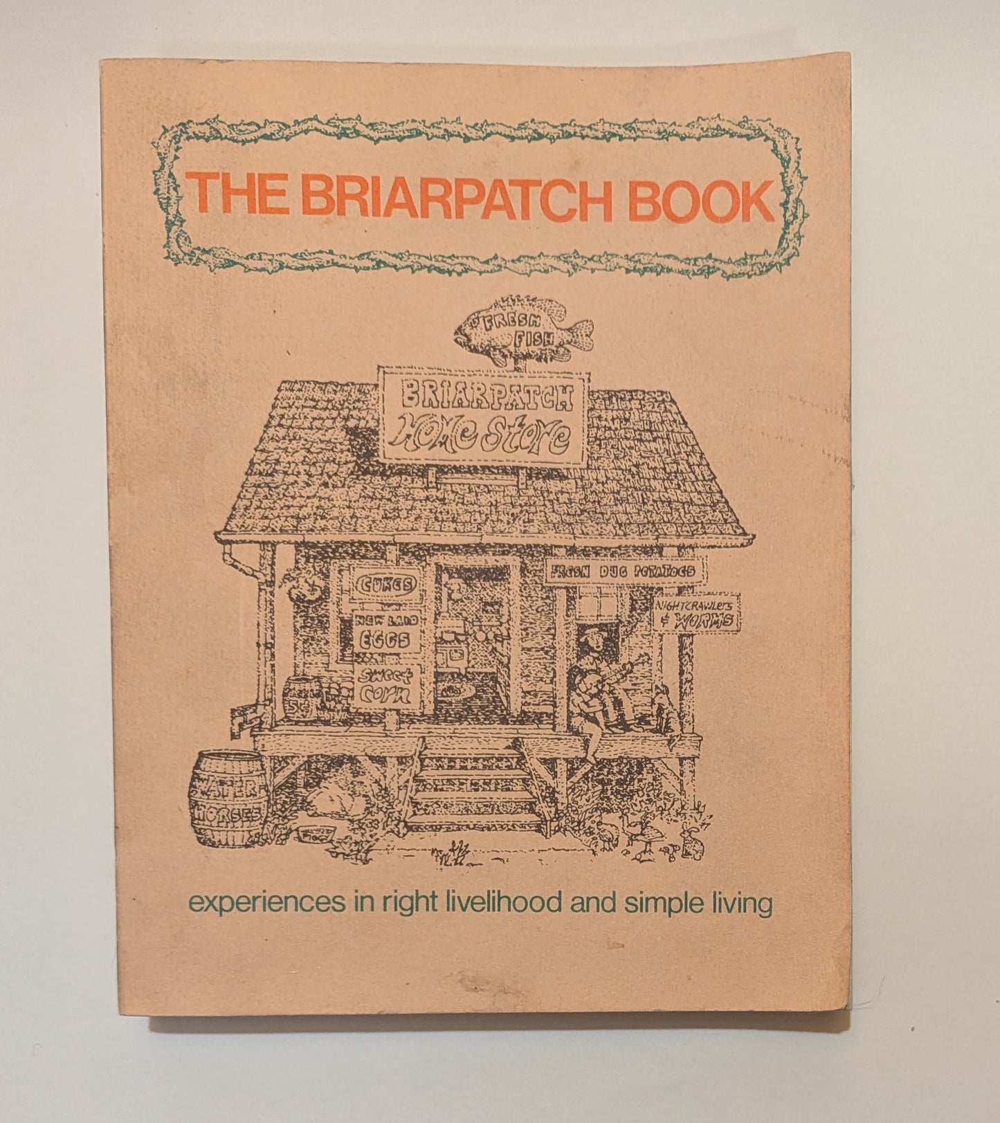 The Briarpatch Book