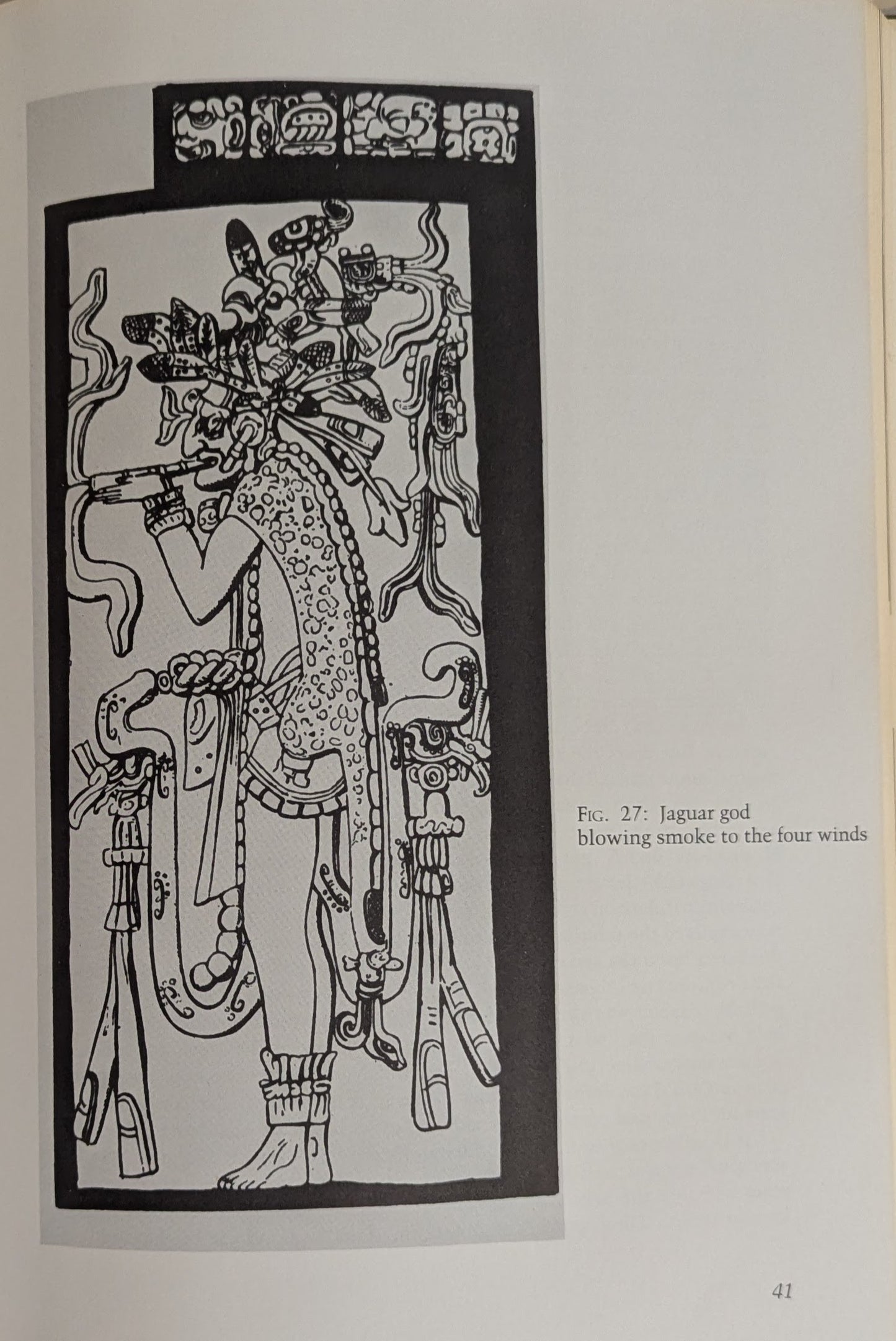 Narcotic Plants [William Emboden]