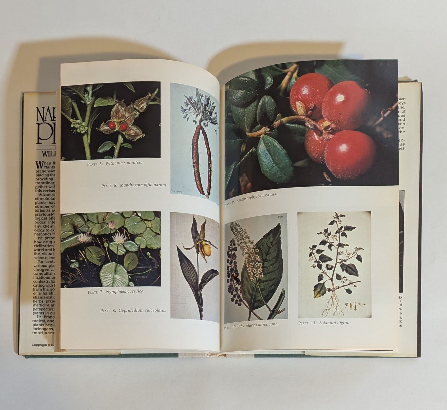 Narcotic Plants [William Emboden]