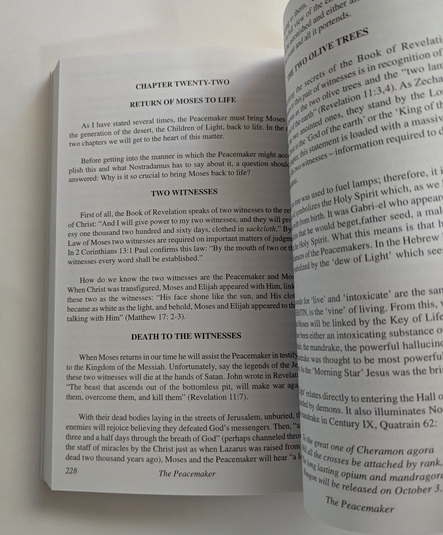 The Peacemaker and the Key of Life [William Henry]