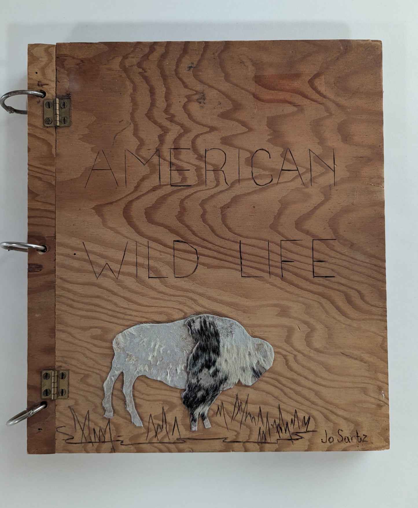 American Wild Life [Jo Sartz]